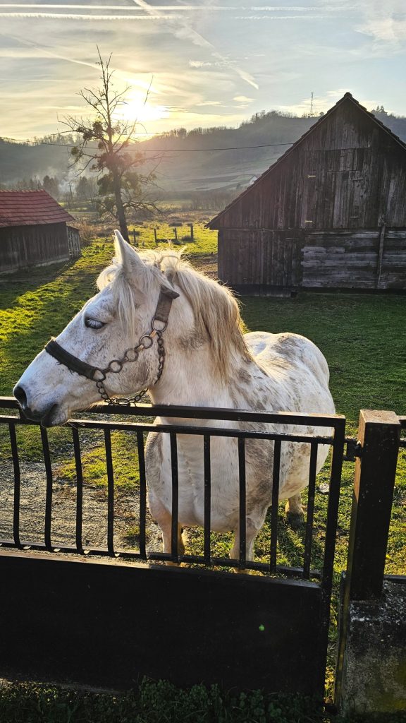 Restoran Kod Đurđe