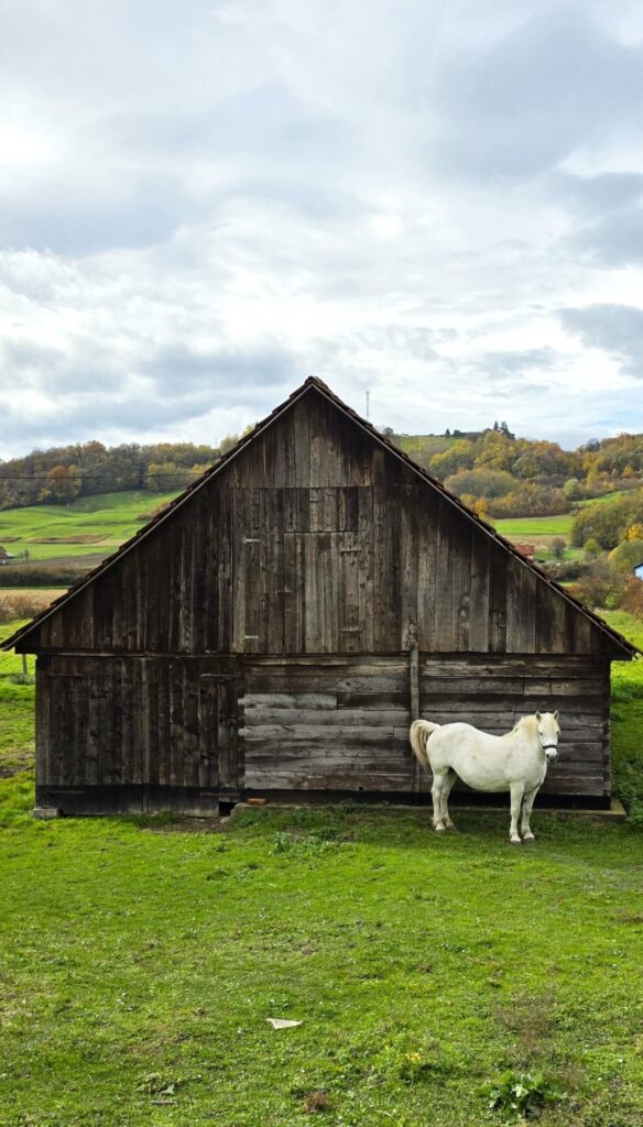 Zagorje izlet Ivana i Josip Jukić