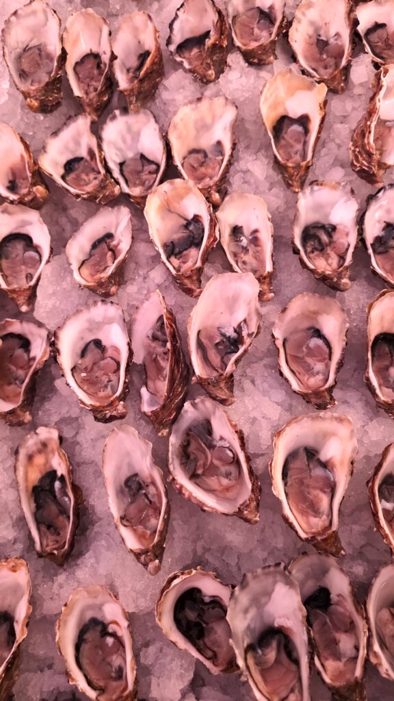 MERO Hrvatska kamenice