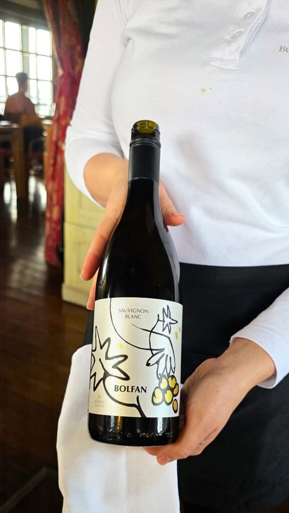 Bolfan Rajnski rizling 2024. i Sauvignon Blanc 2024.