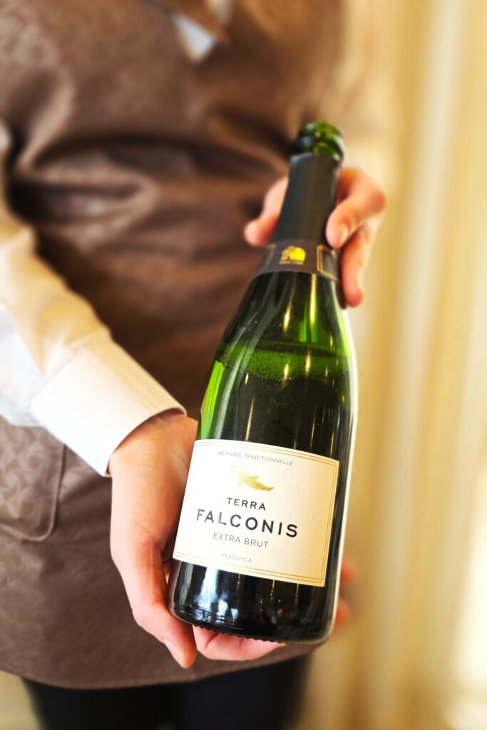 vinarija Mladina Terra Falconis