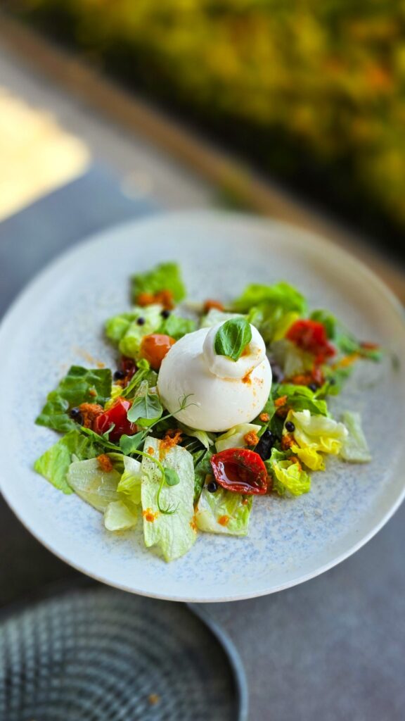 Burrata salata
