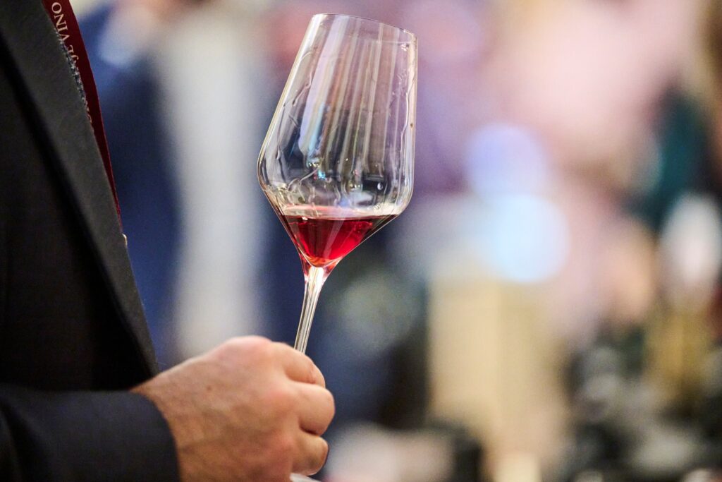 Udruženje Vino Dalmacije